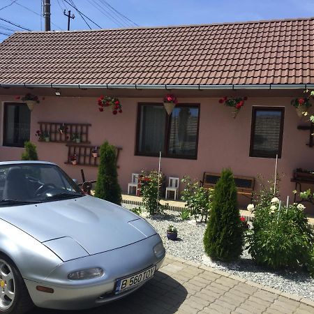 Villa Casa rustica cu terasa Mediaş Exterior foto