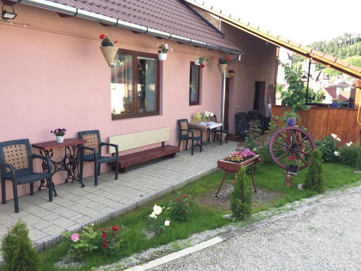 Villa Casa rustica cu terasa Mediaş Exterior foto