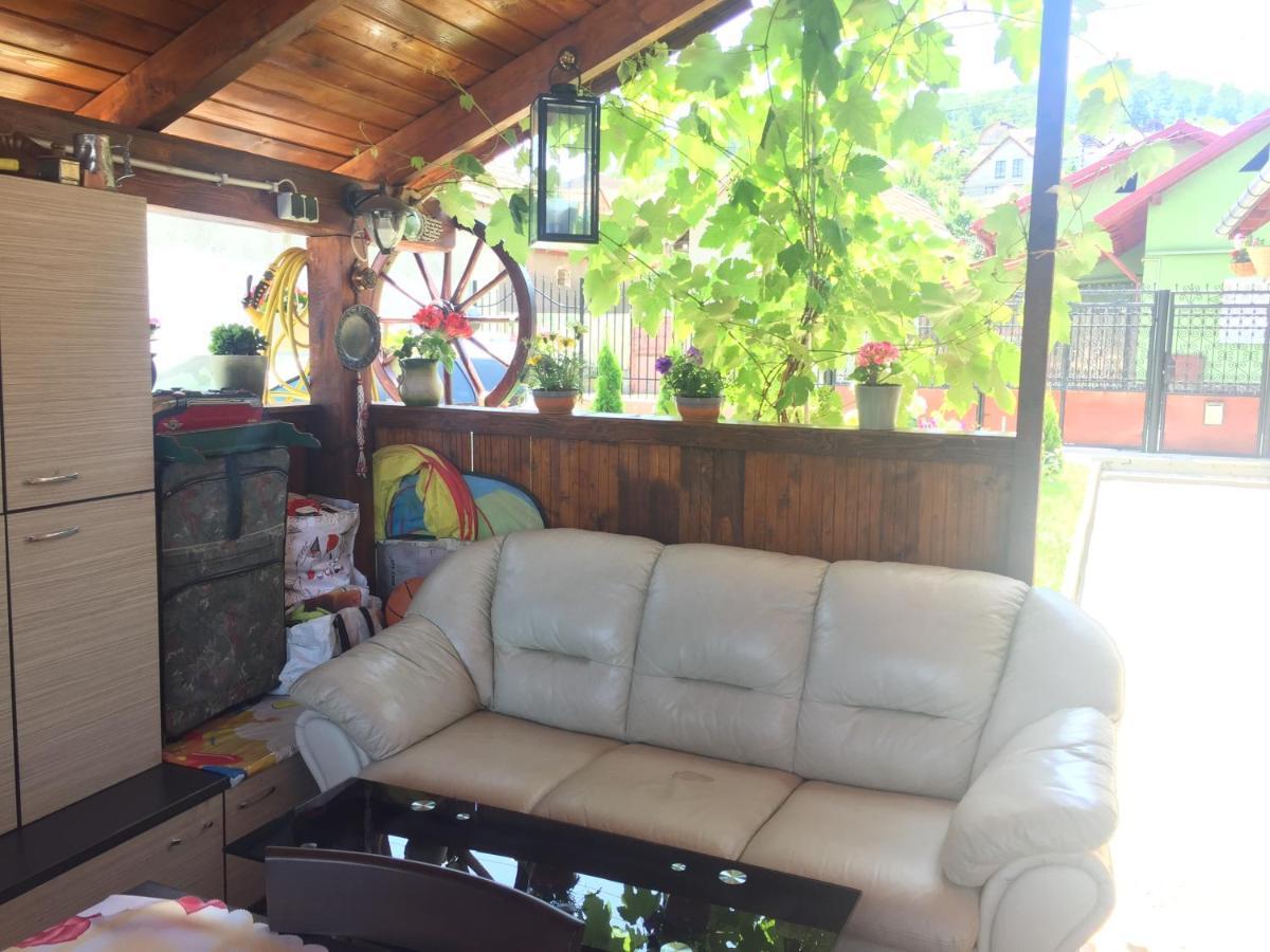 Villa Casa rustica cu terasa Mediaş Exterior foto