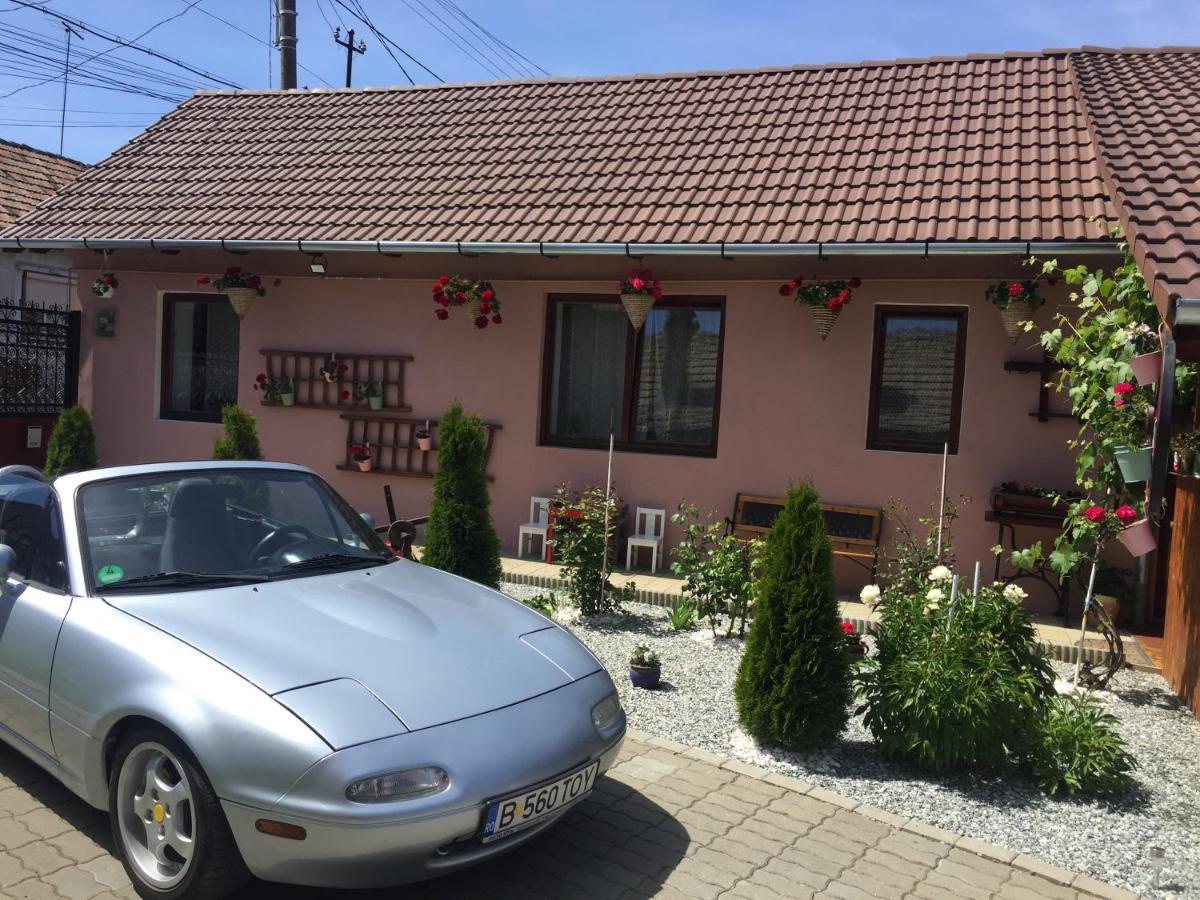 Villa Casa rustica cu terasa Mediaş Exterior foto