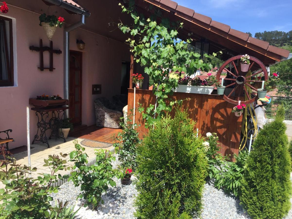 Villa Casa rustica cu terasa Mediaş Exterior foto