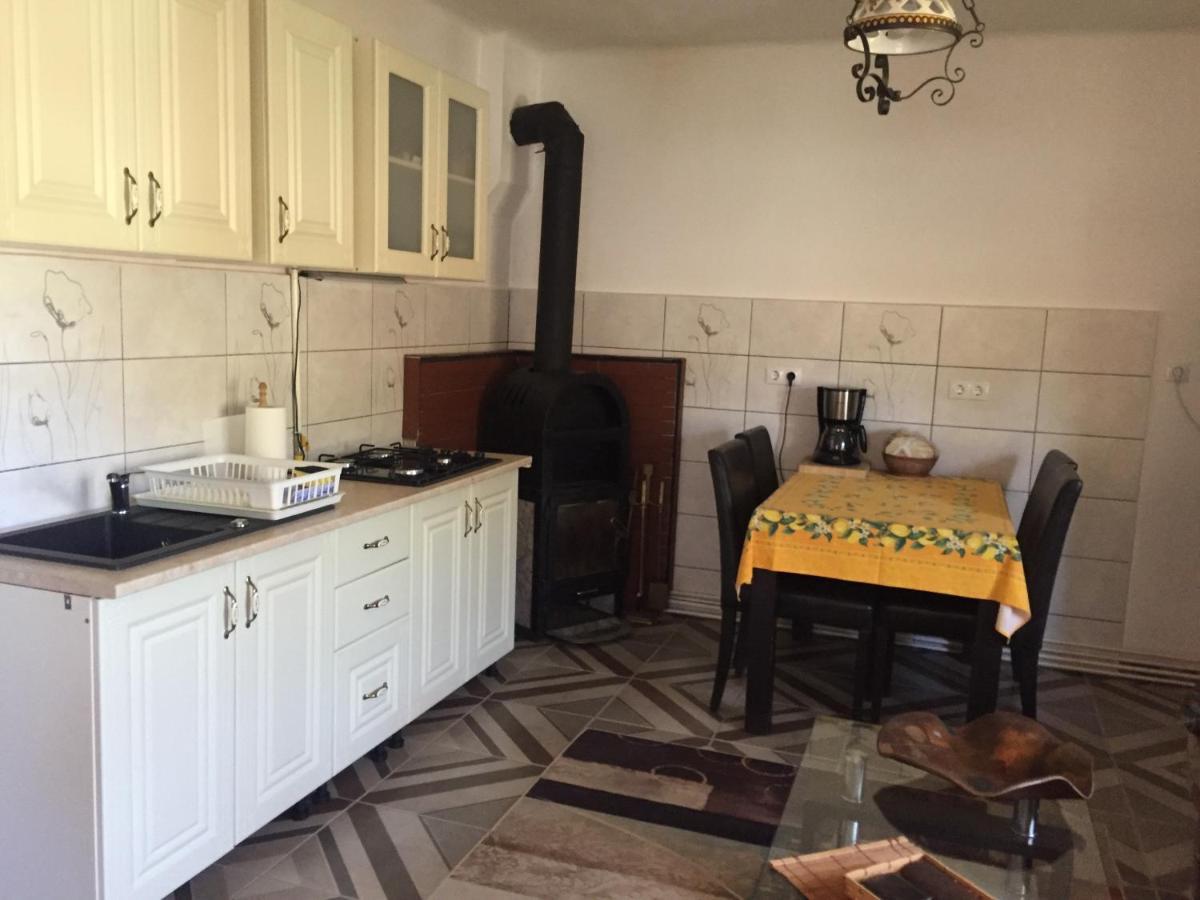 Villa Casa rustica cu terasa Mediaş Exterior foto