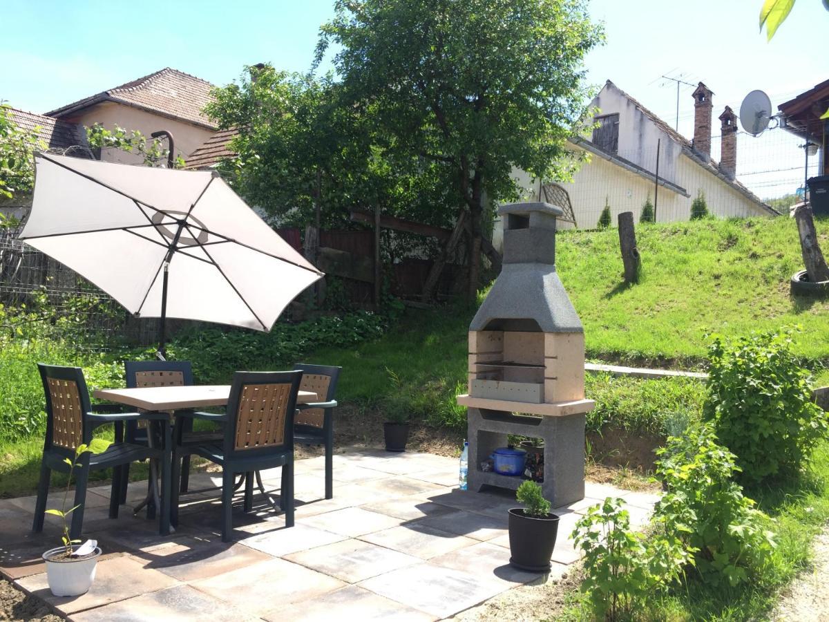 Villa Casa rustica cu terasa Mediaş Exterior foto